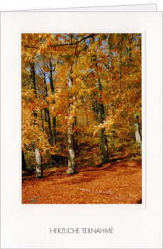 Kondolenzkarte "Herbst"