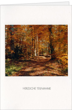 Kondolenzkarte "Herbstlicher Wald"