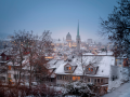 Blick vom Lindenhof