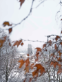 Blick zum Grossmünster Zürich